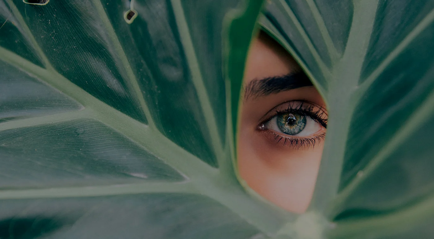 Oog tussen groene bladeren, het natuurlijke verzorgingsbeeld van Beauty Moments